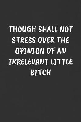 Book cover for Though Shall Not Stress Over the Opinion of an Irrelevant Little Bitch