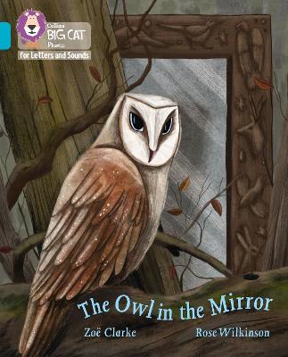 Book cover for The Owl in the Mirror