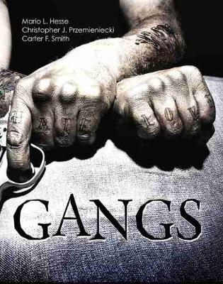 Book cover for Gangs