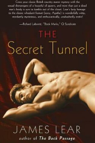 Cover of The Secret Tunnel