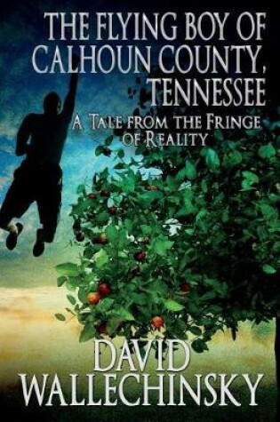 Cover of The Flying Boy of Calhoun County, Tennessee