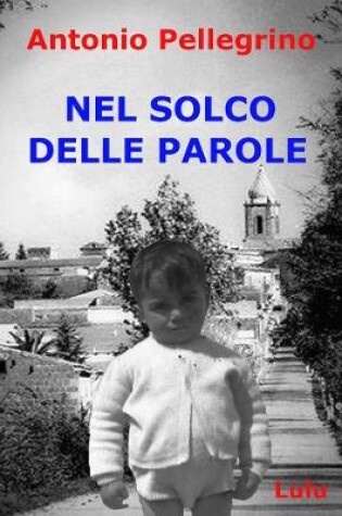 Cover of NEL SOLCO DELLE PAROLE