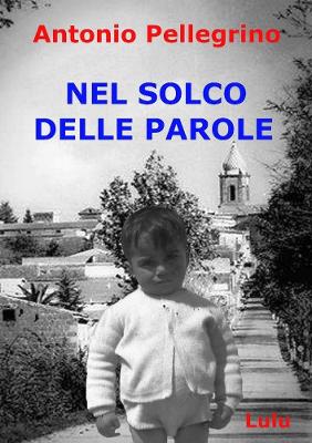 Book cover for NEL SOLCO DELLE PAROLE