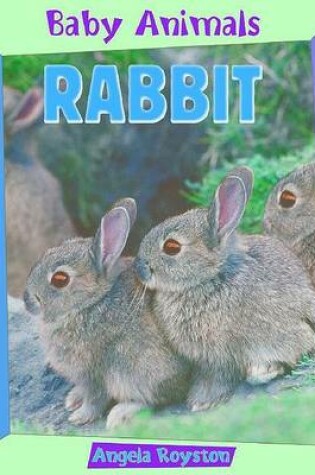 Cover of Rabbit