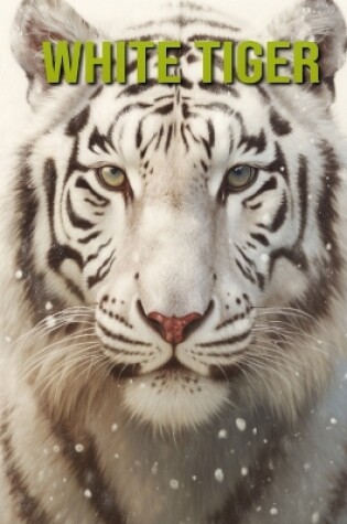 Cover of White Tiger