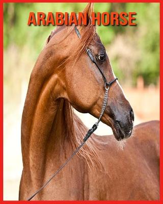 Book cover for Arabian Horse