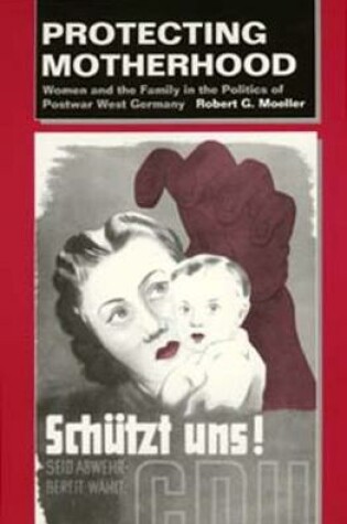 Cover of Protecting Motherhood