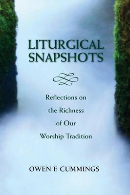 Book cover for Liturgical Snapshots