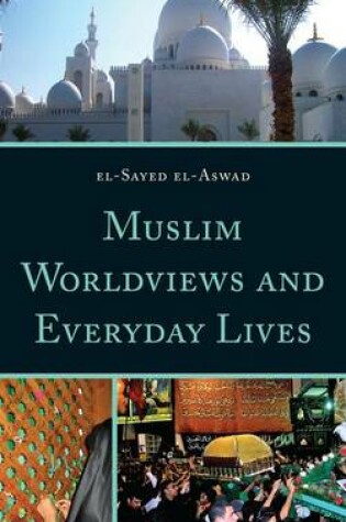 Cover of Muslim Worldviews and Everyday Lives