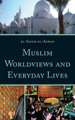 Book cover for Muslim Worldviews and Everyday Lives