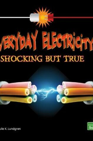 Cover of Everyday Electricity, Shocking But True