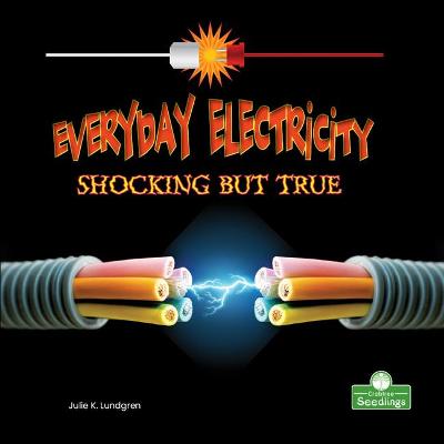 Book cover for Everyday Electricity, Shocking But True