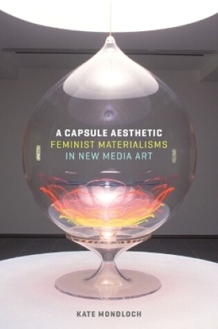 Cover of A Capsule Aesthetic