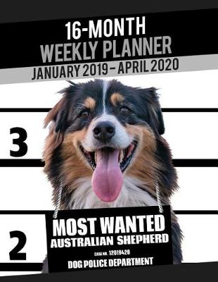 Cover of 2019-2020 Weekly Planner - Most Wanted Australian Shepherd (Aussie)