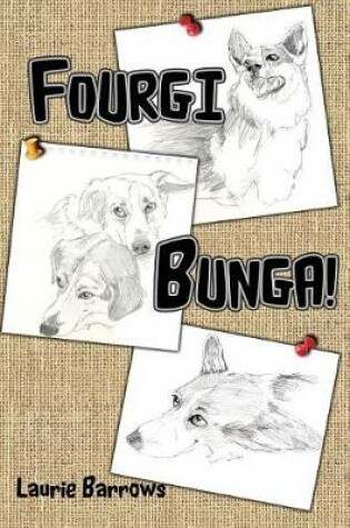 Cover of Fourgibunga!
