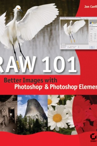 Cover of Raw 101