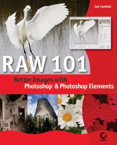 Book cover for Raw 101