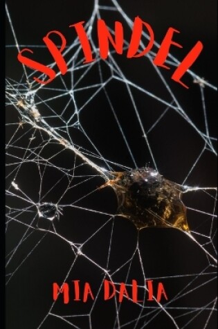 Cover of Spindel