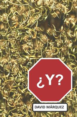 Book cover for ¿Y?