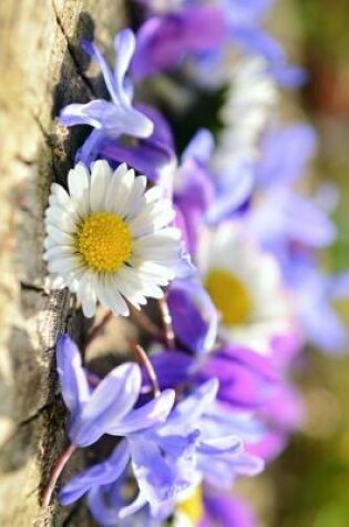 Cover of Daisy and Spring Flowers Journal