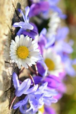 Book cover for Daisy and Spring Flowers Journal