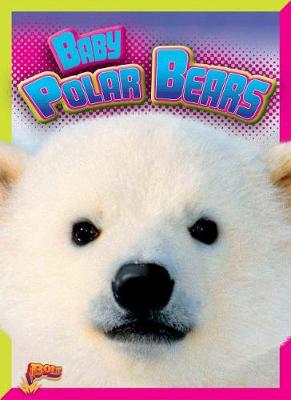 Book cover for Baby Polar Bears