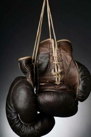 Cover of Boxing Gloves Sports Journal