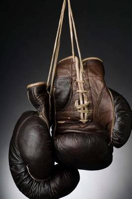 Book cover for Boxing Gloves Sports Journal