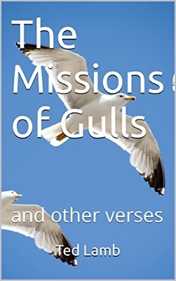 Book cover for The Missions of Gulls