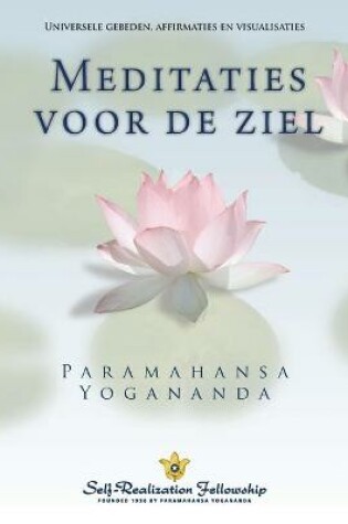 Cover of Metaphysical Meditations (Dutch)