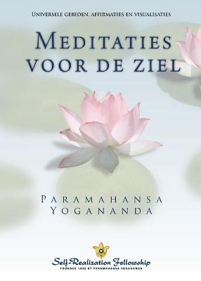 Book cover for Metaphysical Meditations (Dutch)