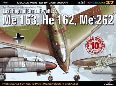 Book cover for Last Hope of the Luftwaffe: Me 163, He 162, Me 262