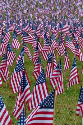 Book cover for A Field of American Flags