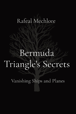 Book cover for Bermuda Triangle's Secrets