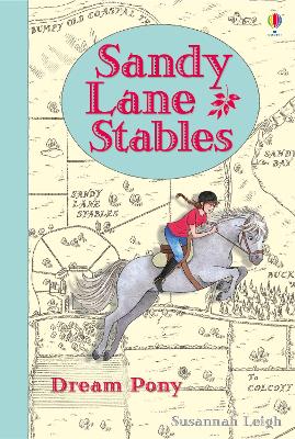 Book cover for Sandy Lane Stables Dream Pony