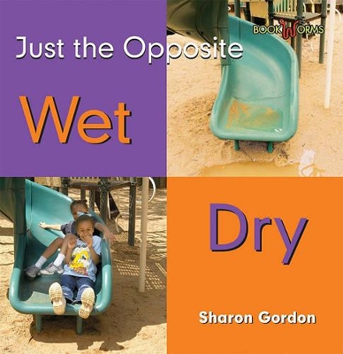 Book cover for Wet, Dry