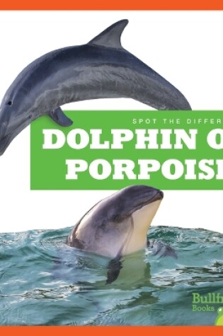 Cover of Dolphin or Porpoise?