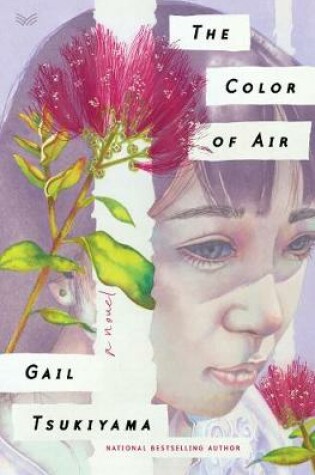 Cover of The Color of Air
