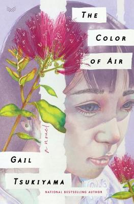 Book cover for The Color of Air