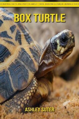 Cover of Box Turtle