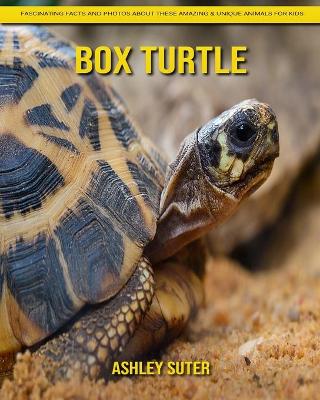 Book cover for Box Turtle