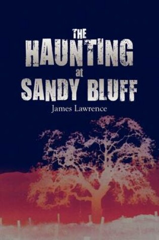 Cover of The Haunting at Sandy Bluff