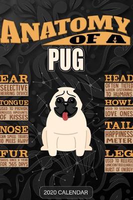 Book cover for Anatomy Of A Pug