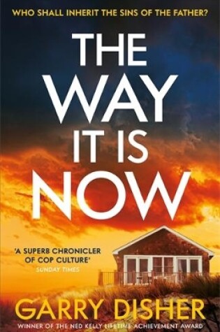 Cover of The Way It Is Now