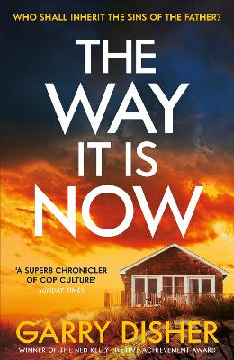 Book cover for The Way It Is Now