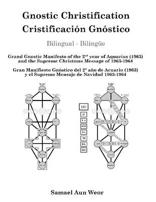 Book cover for Gnostic Christification