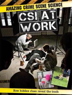 Book cover for CSI at Work