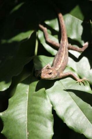 Cover of Irritated Lizard on a Leaf Journal