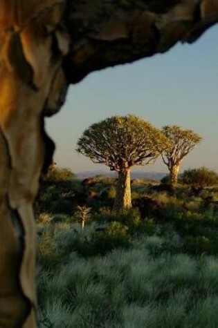 Cover of Awesome Quiver Trees African Landscape Journal