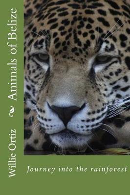 Book cover for Animals of Belize